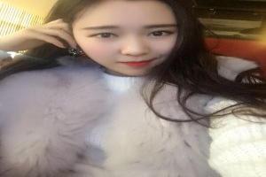 宝可梦剑盾怎么看物攻还是特攻